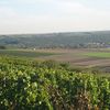 Wendelsheim
