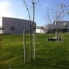 Champalimaud Foundation