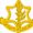 Israel Defense Forces