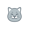 Curious Cat