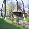 Dorohoi