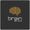 Brainblox