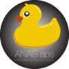 ANAS Engineering & Interaction Design