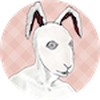 Border Rabbit