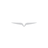 Rapid Imaging Technologies LLC
