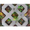NTC Tiles