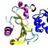 Protein complex