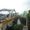 Aluva