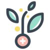 Fortify Health