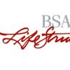 BSA LifeStructures
