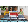 Berry Patch Farm