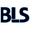 Byte Logic Systems