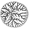 Loonskin Labs