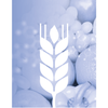 Avantech Group S.r.l.