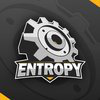 Team Entropy