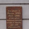 Pierre Seel