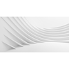 Sandra Collins