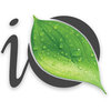 IQuest
