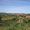 Longiano