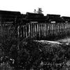 Mud Bay Logging Company