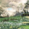 Ellen Willmott