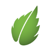 Peppermint Technology Limited