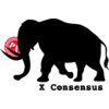 PROJECT X OPEN SOURCE FOUNDATION