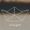 schip.gent