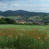 Trusetal