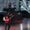 Falling in Reverse