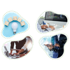 Dev Information Technology Pvt. Ltd.
