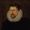 Michael Drayton