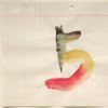 Richard Tuttle