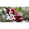 Specialty coffee