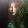 Celest Chong