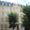 Paris Foreign Missions Society