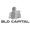 BLD Capital