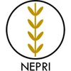 NEPRI FINANCE