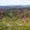 Nuba Mountains