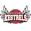 Solent Kestrels