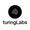 TuringLabs