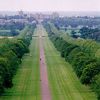 Windsor Great Park