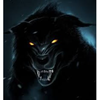 Marf Qozva profile picture