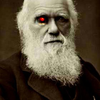 David Rothschild