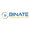 BINATE IT SERVICES