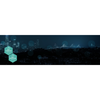 Fluidmesh