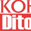 Koha Ditore