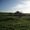 Godwick