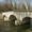 Loches-sur-Ource