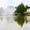 Druskininkai